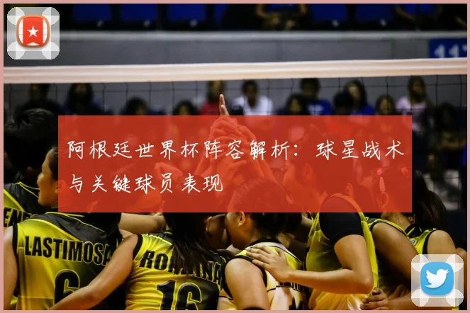 阿根廷世界杯阵容解析：球星战术与关键球员表现