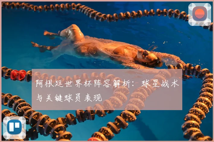 阿根廷世界杯阵容解析：球星战术与关键球员表现