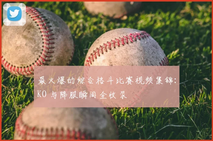 最火爆的综合格斗比赛视频集锦:KO 与降服瞬间全收录