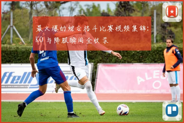 最火爆的综合格斗比赛视频集锦：KO 与降服瞬间全收录